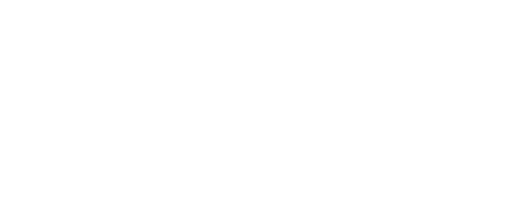 DPMM Logo